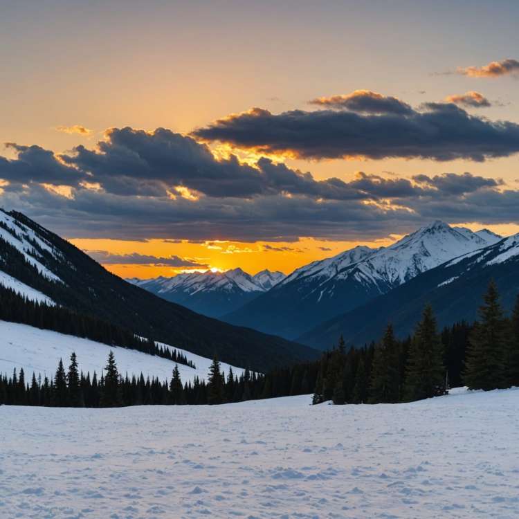 Snowy Tranquility