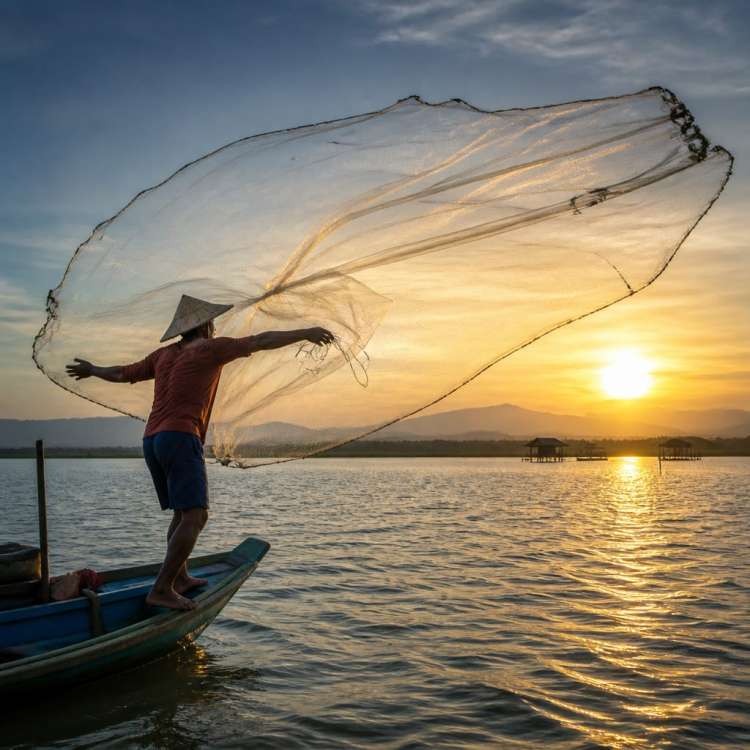 Sunrise Fishing