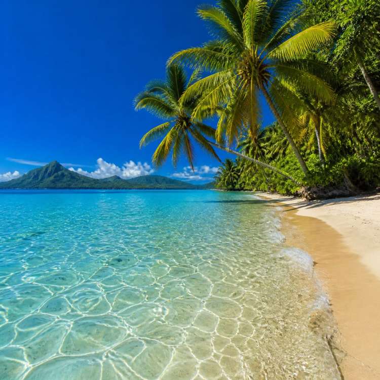 Paradise